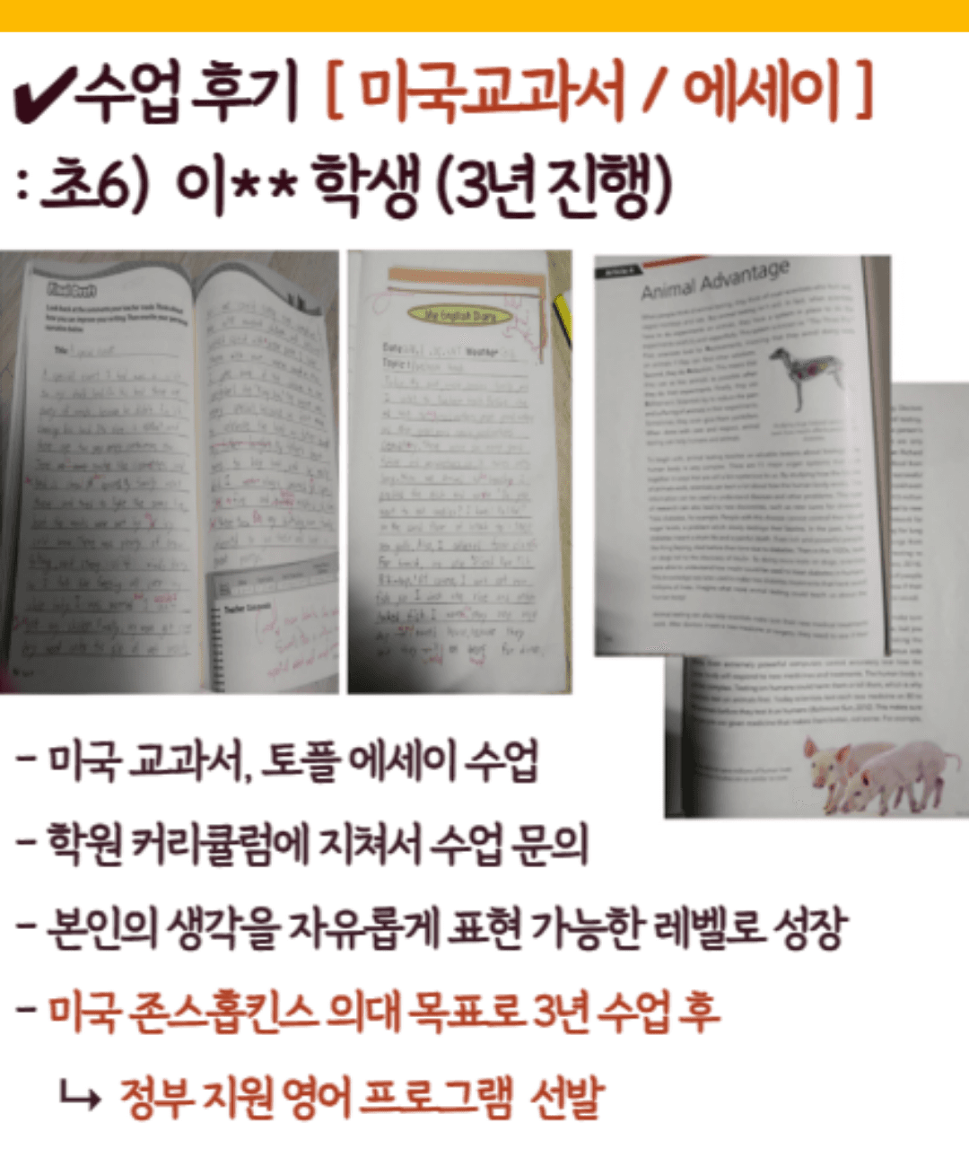 미국 교과서와 에세이 수업 사례